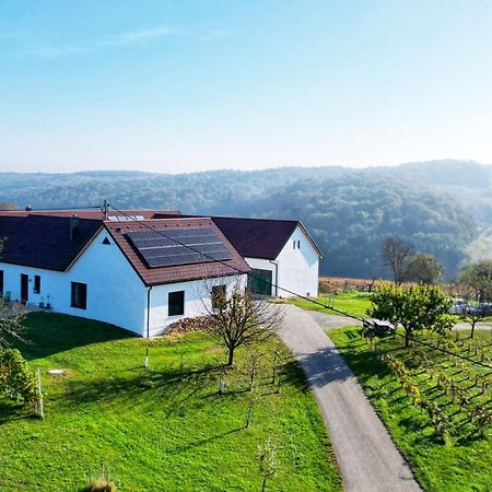 Kaeferberghof Im Burgenland, Komfortzimmer Mit Fruehstueck, Bed & Breakfast, Urlaub Am Bauernhof Eltendorf 외부 사진