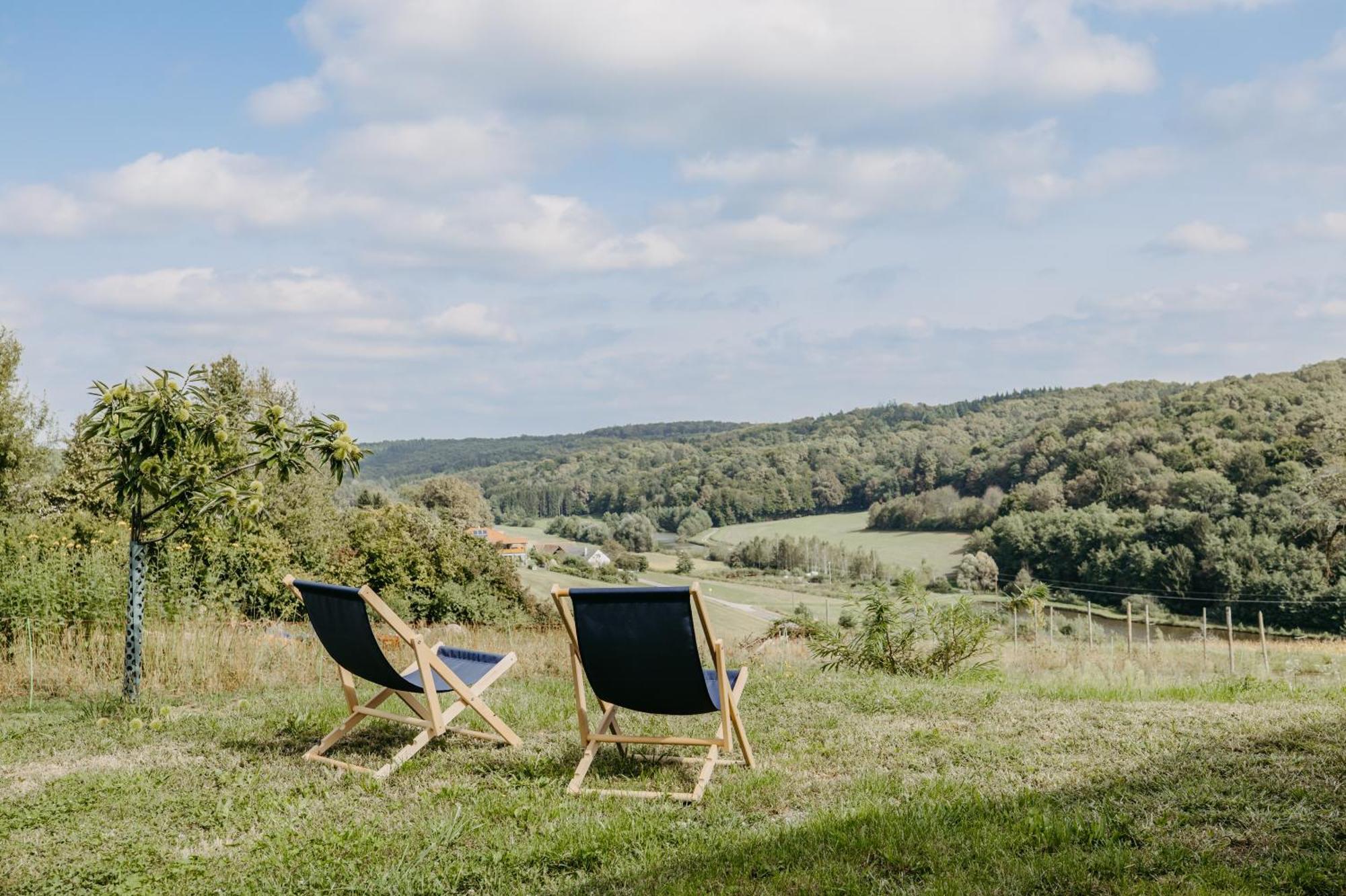 Kaeferberghof Im Burgenland, Komfortzimmer Mit Fruehstueck, Bed & Breakfast, Urlaub Am Bauernhof Eltendorf 외부 사진